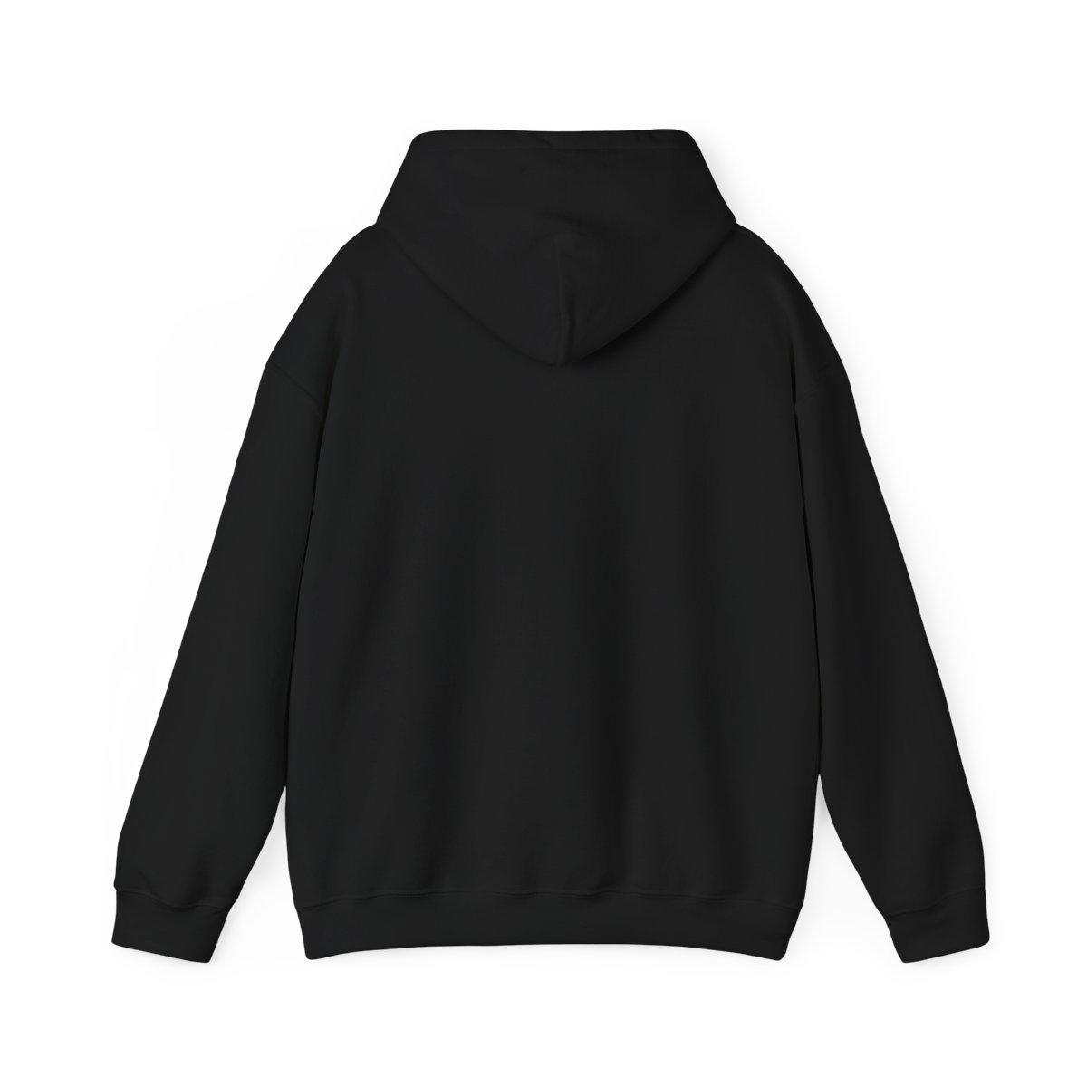 Ms-Rachel Hoodie | Ms. Rachel - alternate angle 1, merchandise